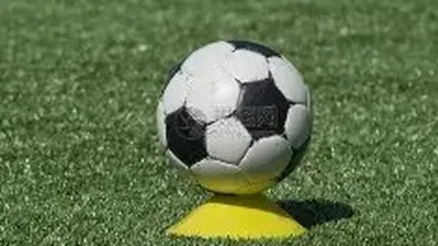 开云体育官网下载 资讯 104317 sb7