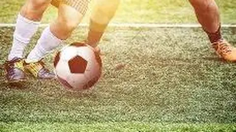 开云体育官网下载 资讯 104943 ng1