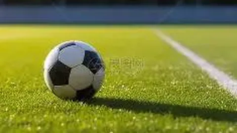 开云体育官网下载 资讯 093156 y6o