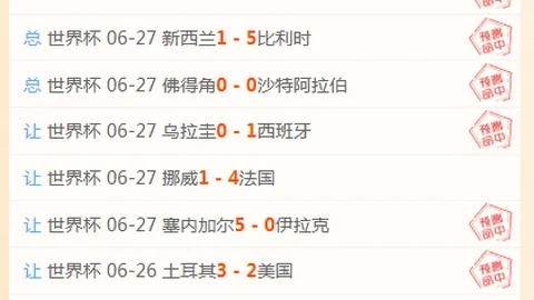 开云体育官网下载 130103 6